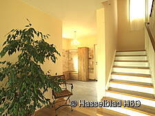 Eingangsbereich mit Treppe, Grünpflanze und Blick in die Diele mit Massivholzmöbeln
