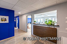 Flur der Steuerkanzlei mit blauer Wand und Empfangstheke in Holzoptik